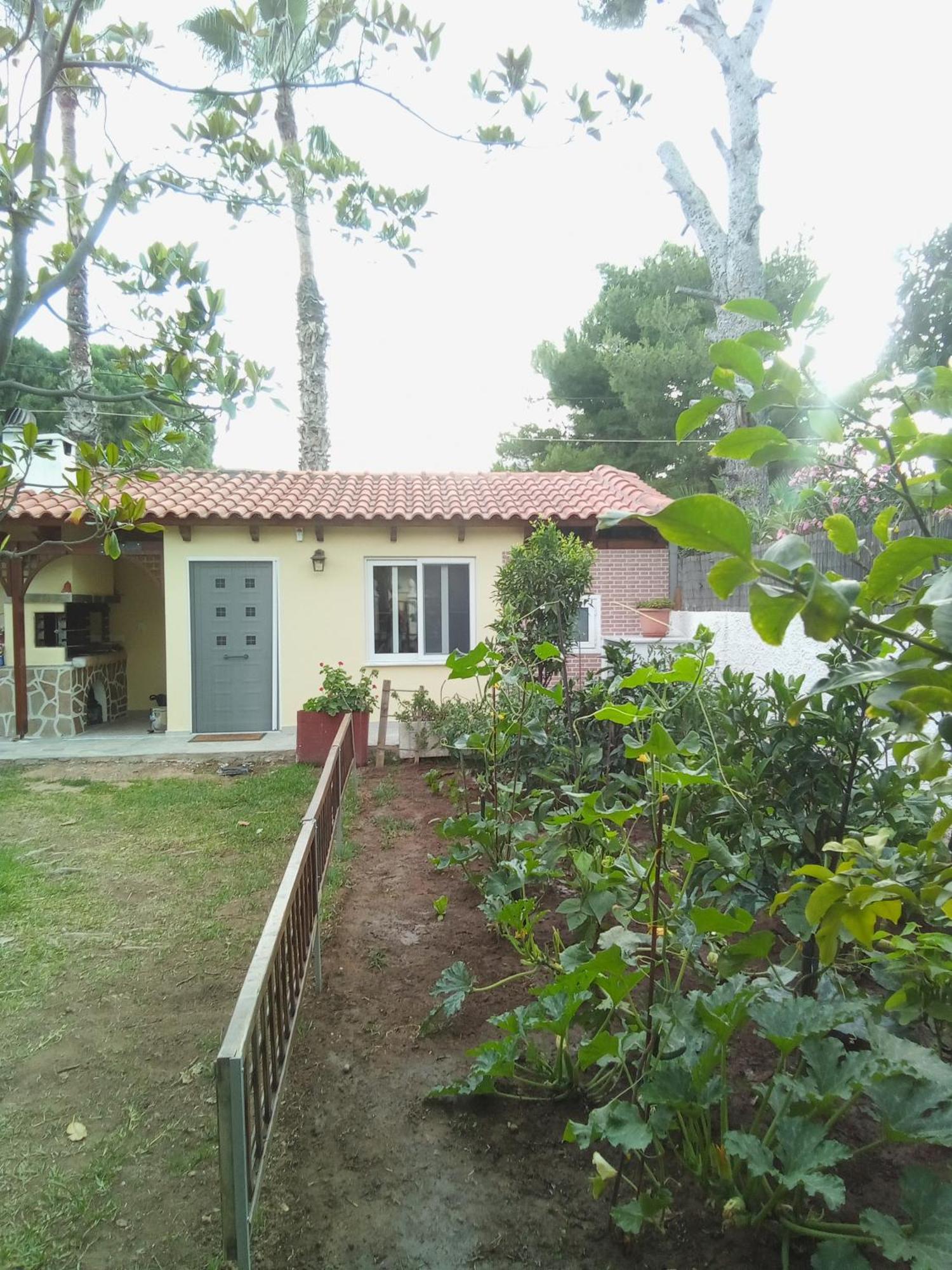 Apartment Anna's And Artemida (Attica)